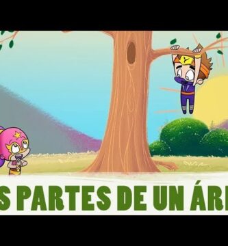 Conociendo la Parte Maciza de los Árboles