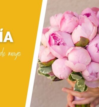 Explorando la Variedad: Guía de Peonías Según sus Colores