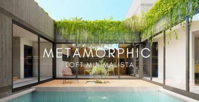 Descubriendo la Planta con U: Usos y Beneficios Únicos 4 Descubriendo la Planta con U: Usos y Beneficios Únicos