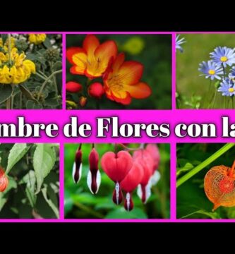 Fascinantes Plantas con F: Guía Completa y Cuidados Esenciales 1 Fascinantes Plantas con F: Guía Completa y Cuidados Esenciales