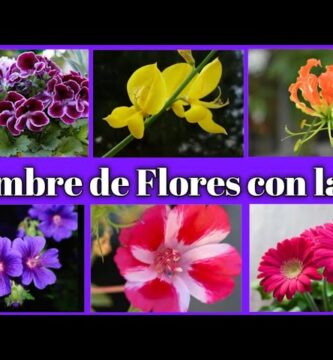 Guía de Plantas con G: Guía completa para jardineros