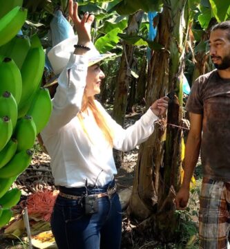 Descubre cómo usar el plátano portalimón: guía completa