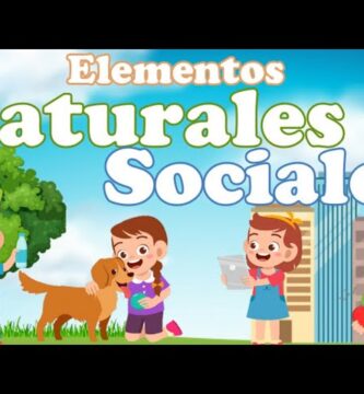Razones por las que la selva tiene más elementos naturales que sociales