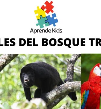 Descubre Qué Animales Habitan en el Bosque Tropical