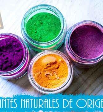 Descubriendo Qué es la Pintura Vegetal: Usos y Beneficios