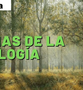 Explorando las Ramas y Ciencias Auxiliares de la Ecología Expansiva