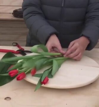 Comprar Ramo de Tulipanes Rojos: Guía Completa