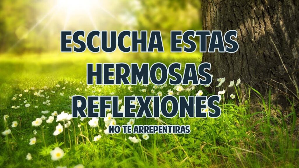 Reflexiones Largas Positivas para Inspirar y Motivar Tu Día 1 Reflexiones Largas Positivas para Inspirar y Motivar Tu Día