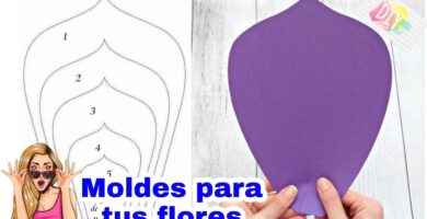 Cultivo y Cuidado de Rosas Grande Caseras 14 Cultivo y Cuidado de Rosas Grande Caseras