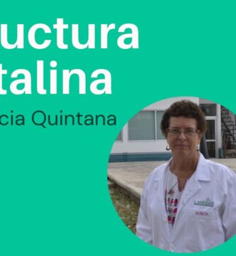 Descubriendo Minerales sin Estructura Cristalina: Características y Ejemplos