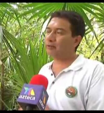 Guía Completa de Serpientes de Quintana Roo