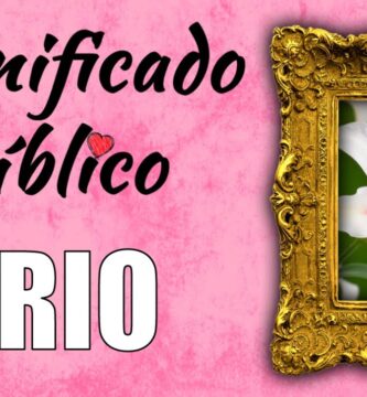 Descubriendo el Significado y Simbolismo del Lirio de los Valles
