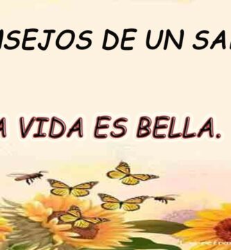 Sonríe: Frases Inspiradoras Sobre la Vida Bella