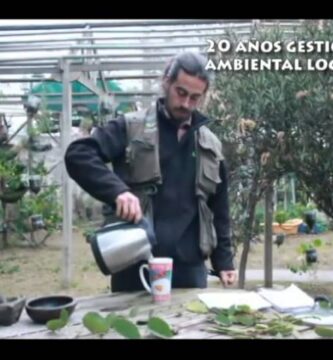 Beneficios y Propiedades del Té de Pata de Vaca