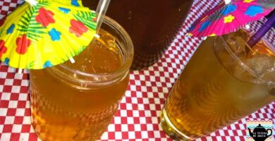 Contraindicaciones del Té de Pingüica: Lo que Debes Saber