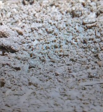 Manejo Efectivo de Tierra Limo para Jardines 1 Manejo Efectivo de Tierra Limo para Jardines