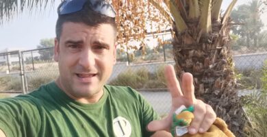 Descubriendo los Diversos Tipos de Dátiles Existentes 5 Descubriendo los Diversos Tipos de Dátiles Existentes
