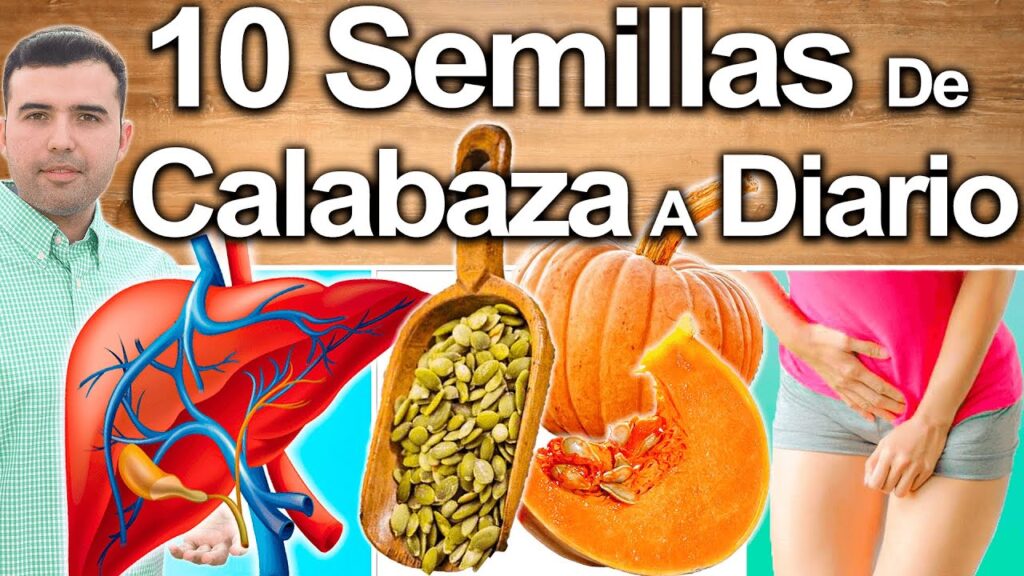 Explorando los diferentes tipos de semillas de calabaza 1 Explorando los diferentes tipos de semillas de calabaza