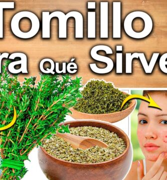 Guía Práctica: Beneficios y Usos del Tomillo Seco en Casa